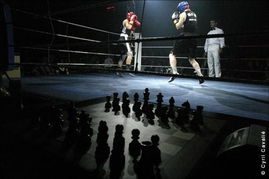 象棋拳擊 德國(guó)興起的身心對(duì)決新潮